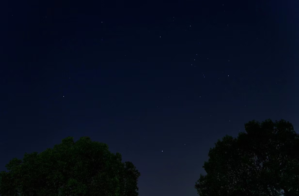 情侣牵手漫步在夕阳下的浪漫场景